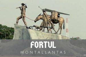 Montallantas en Fortul
