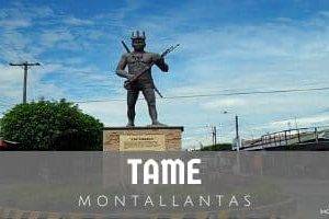 Montallantas en Tame
