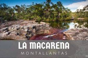 Montallantas en La Macarena