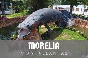 Montallantas en Morelia